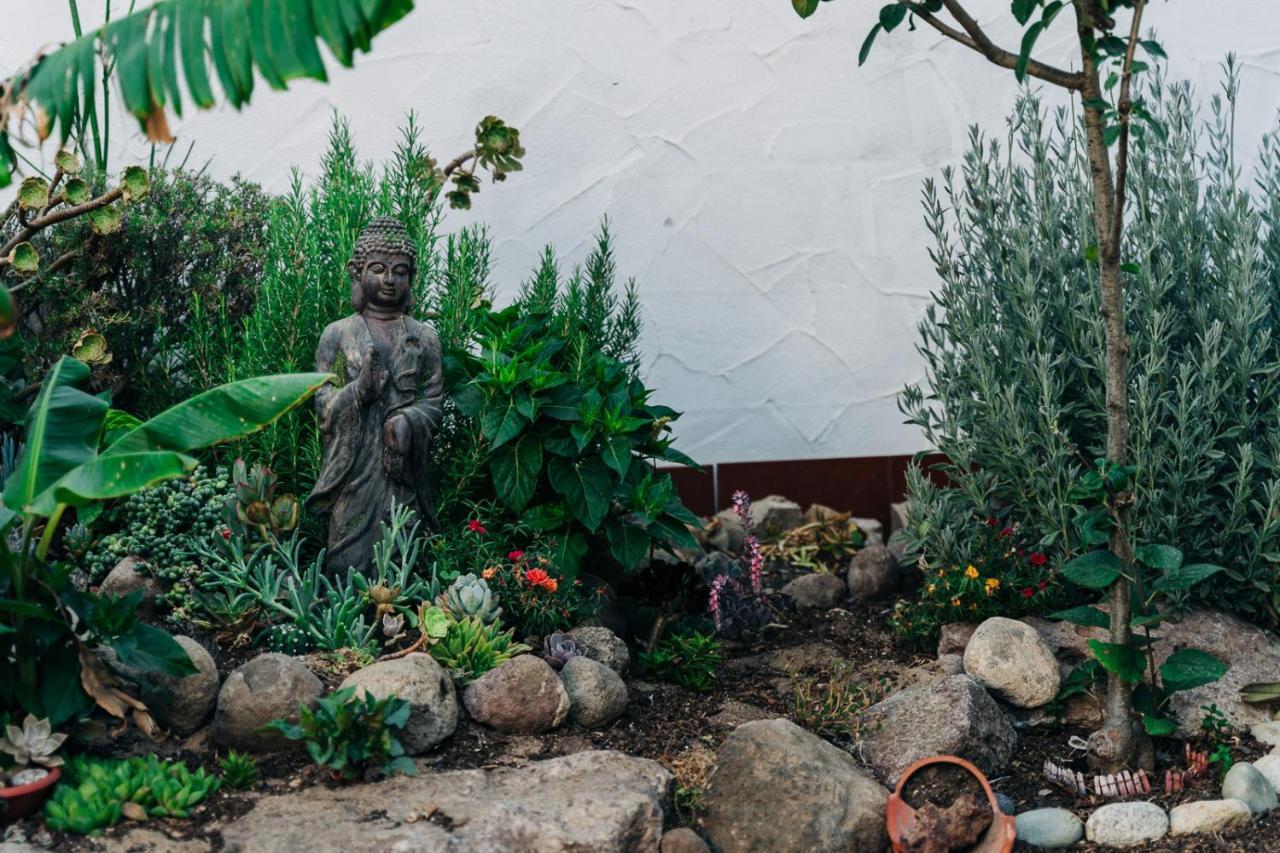 Bed and Breakfast Juniper Bay Портоскузо Екстер'єр фото