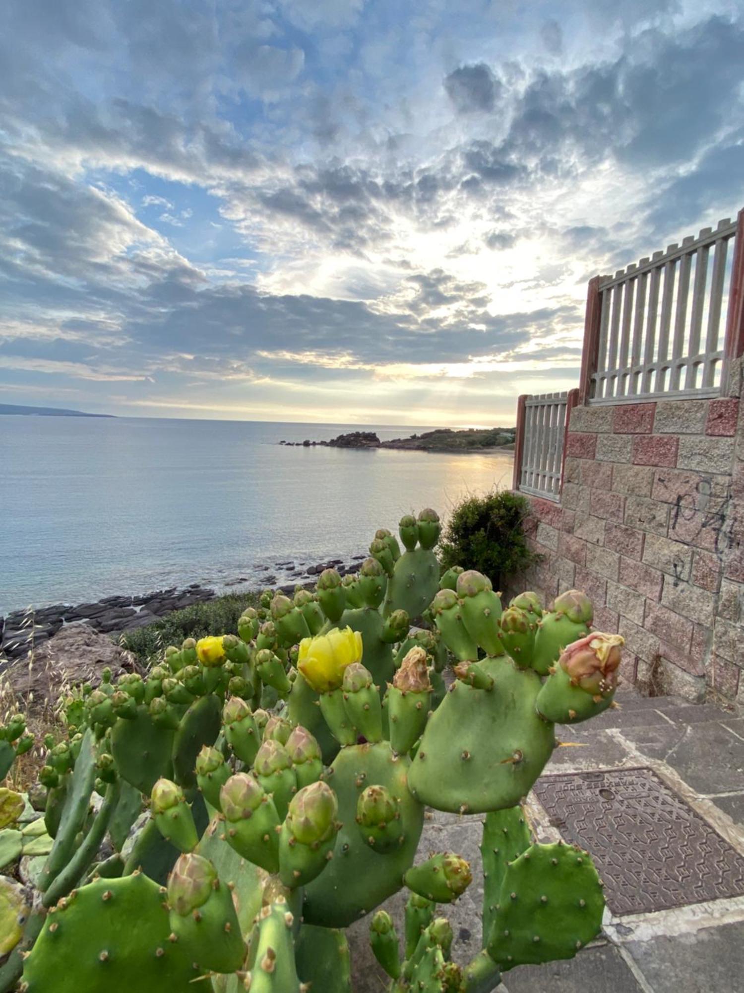 Bed and Breakfast Juniper Bay Портоскузо Екстер'єр фото